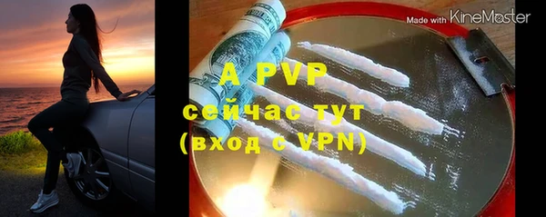 сатива Касимов