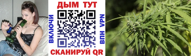 Купить  Высоковск  Канабис ГИДРОПОН 